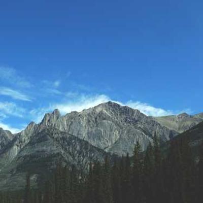 Chemise Classique Bleue
