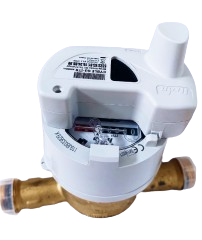 Shorts Premium Multicolore