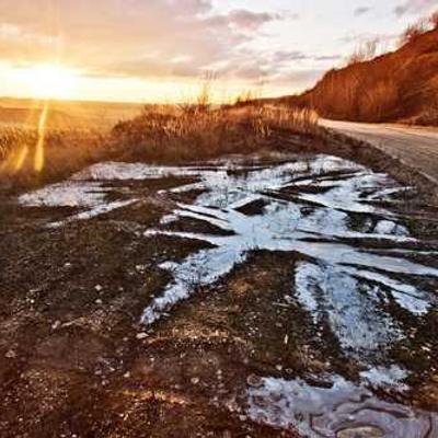 Pantalon Taille Haute